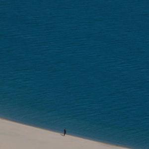 根本你不懂得爱我（胖猫再见了）