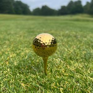 Hole Number Seventeen Par 4 So tempting to hit it hard