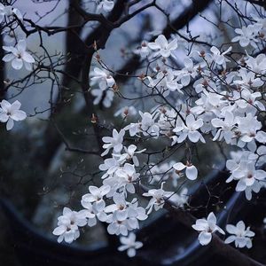 [FREE] "寒江雪" - 中国风 CHINA TYPE BEAT