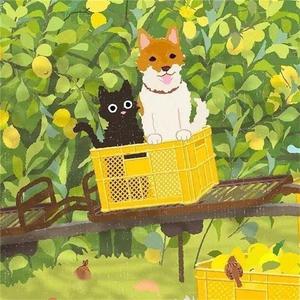 欢快小调（轻音乐）