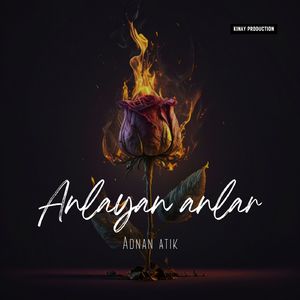 Anlayan Anlar