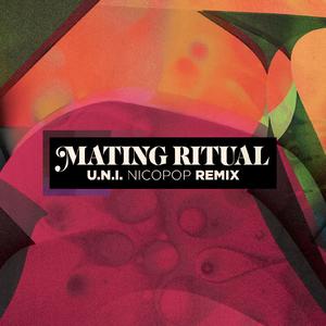 U.N.I. (nicopop. Remix)