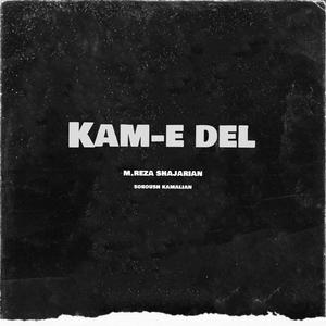 KAM-E DEL (feat. MohammadReza Shajarian)
