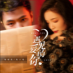 遇见爱的你 (DJ可乐版)