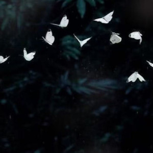 迟到的开窍（拜托别接我电话）蟹饱王er