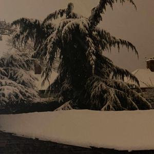 monster skinny jeanz