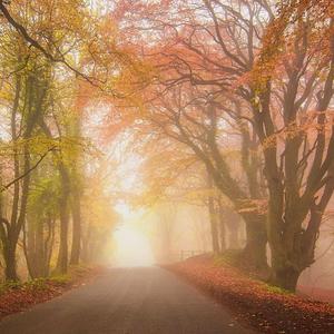 偶然遇见她和你