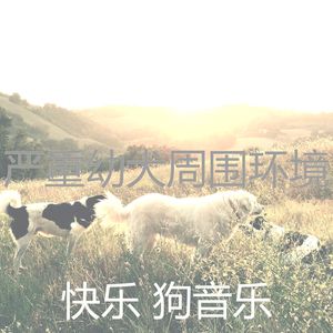 一尘不染小狗印象数