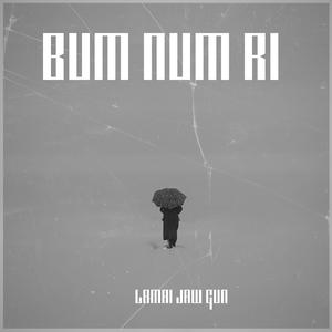 Bum NumRi