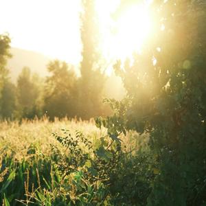 Worthiness Is Not a Reward It Is a Birthright
