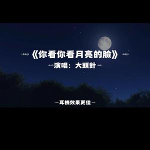 你看你看月亮的臉/大頭針