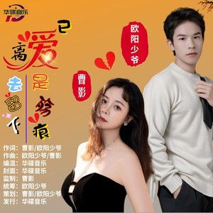 爱已离去留下是伤痕