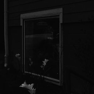 上海午夜狂奔(Jvkzz's Version)