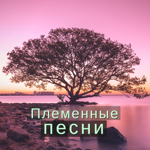 Флейта умягчения