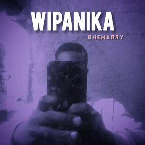 Wipanika