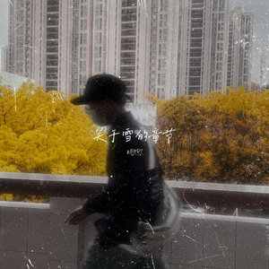 关于雪的章节(prod.by Morrow）