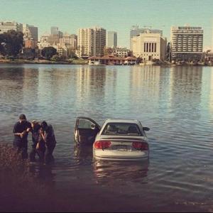 Gone Instrumental (The Theory of Meech)