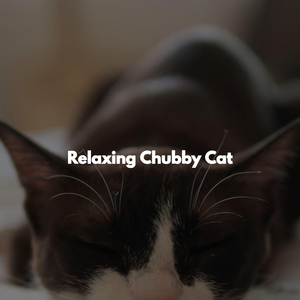 Ballad Jazz Soundtrack for Positive Movements