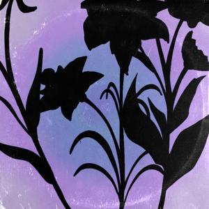 Wish We Never Met (feat. SANA)