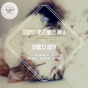 (고양이 분리불안 해소) 슈만 - 어린이정경 중 6번A장조 (산 속의 새소리와 함께)