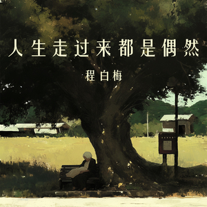 人生走过来都是偶然 (都市版)