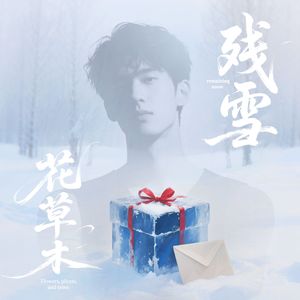 糖纸
