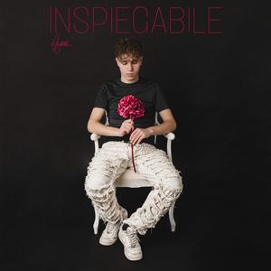 INSPIEGABILE