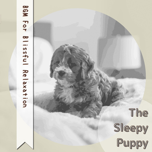 Just Passing Through