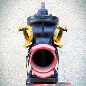 Nelson (feat. Cécilia Joannes)