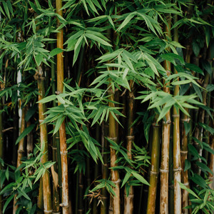 时光你慢点走 王超然