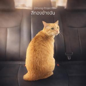 สีทองข้างฉัน