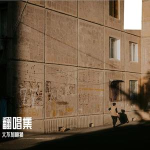 你们卷吧我卷不动啦