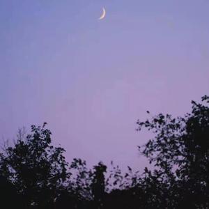 您❆需❀要※的️·男ø友☆.已˖★˖售-̡̙̙͇̺̤͓̀͜-̧̛̗̕-͏̪̥̩罄