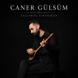 Saçlarını taramışsın