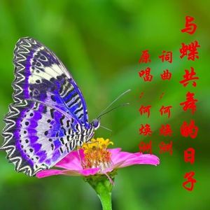 与蝶共舞的日子（何焕洲原唱） 伴奏