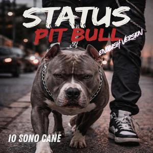 Status Pit Bull (English Version)