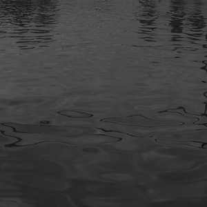 从来没有人懂我我是孤独的