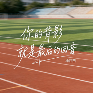 你的背影就是最后的回音