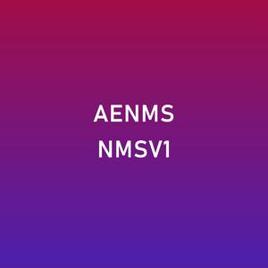 AE.NMS[V], Vol. I
