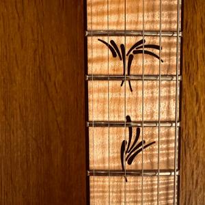 Flying With Paul's Birds