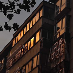 碎阳成光-满眼星辰*ℳ