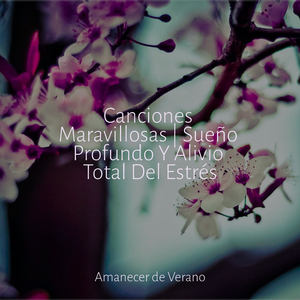 Respirando la Magia de la Tierra