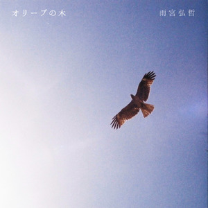 オリーブの木
