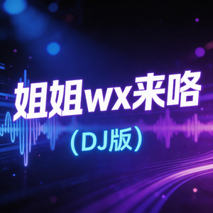 姐姐wx来咯（DJ版）