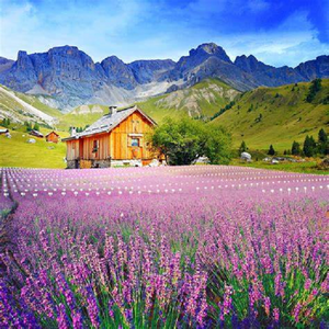 我梦想中的白色教堂和婚纱