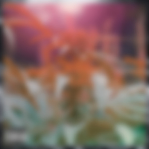 144 (feat. 椎名アラタ)