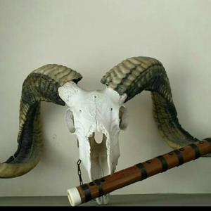 喜看丰收景（cover简广易）（翻自 简广易）