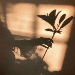 这世界那么多人