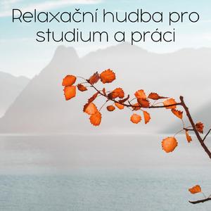 Hluboké zaměření