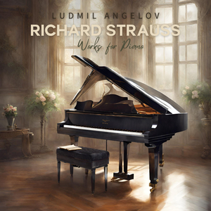 Fünf Klavierstücke, Op. 3, No. 4: Allegro molto